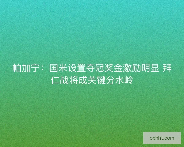 帕加宁：国米设置夺冠奖金激励明显 拜仁战将成关键分水岭