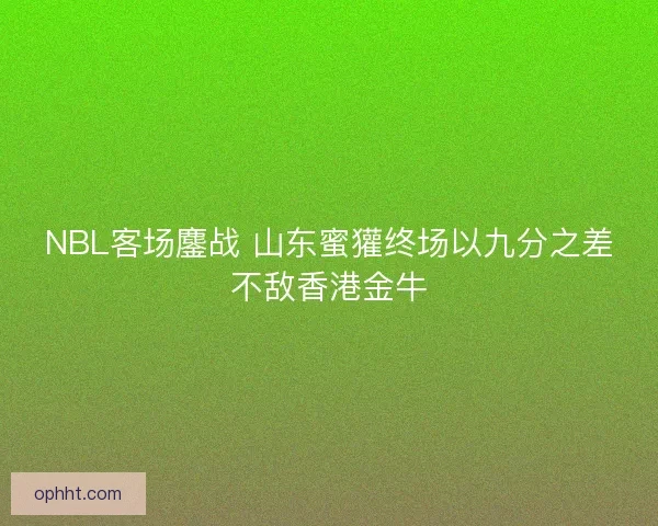 NBL客场鏖战 山东蜜獾终场以九分之差不敌香港金牛